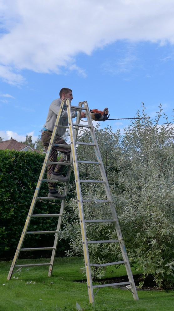 Уход за садом и защита растений