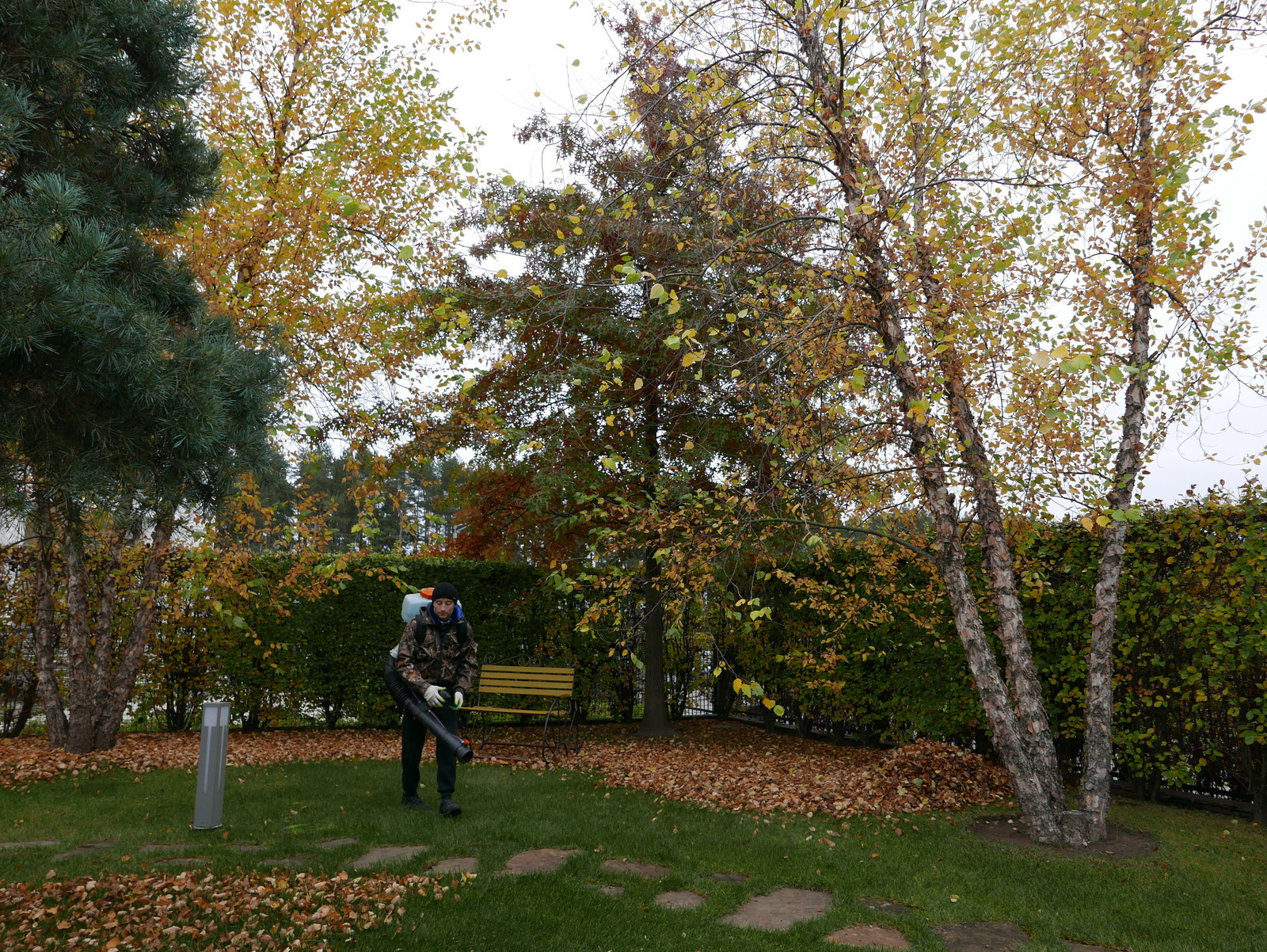 Обложка проекта: Уход за садом и защита растений