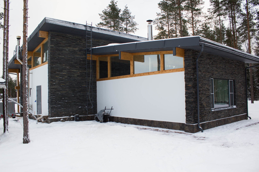 Задний фасад на север, штукатурка, фахверк, камень