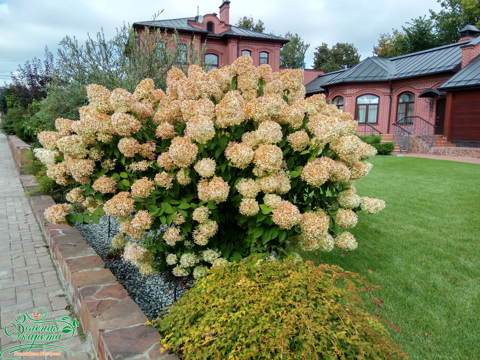 Архитектурно-ландшафтная организация частного участка в г. Павлово