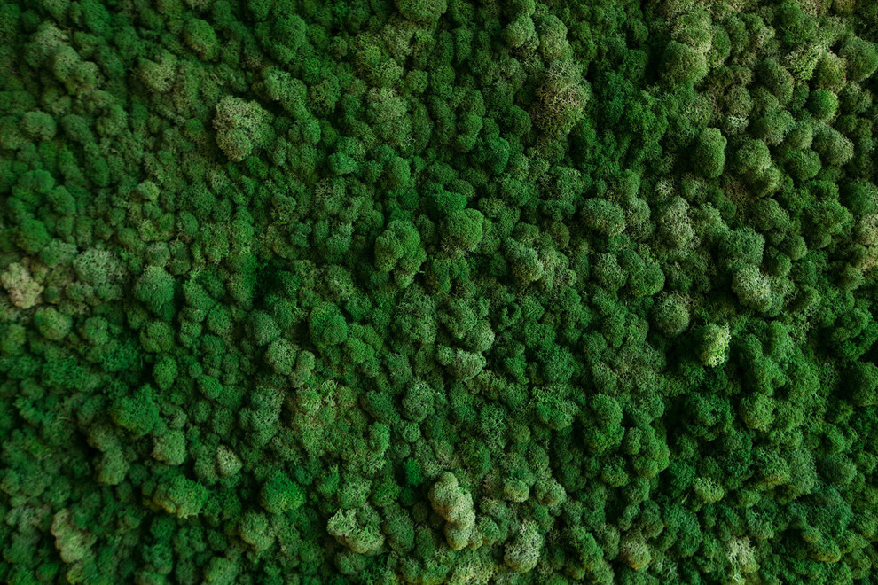 Кафе Ботаника