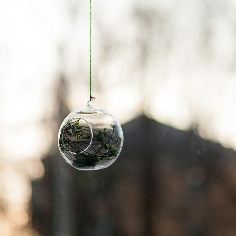 Кафе Ботаника