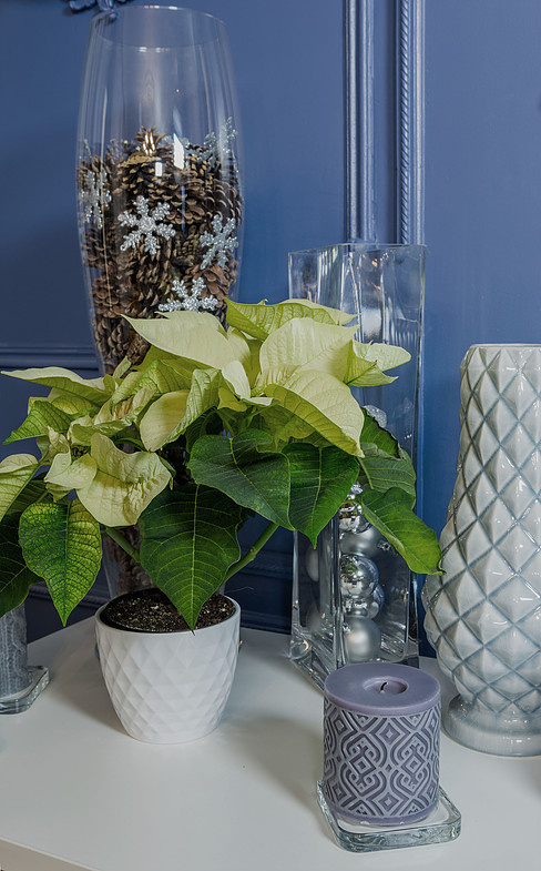 Спальня в синих тонах