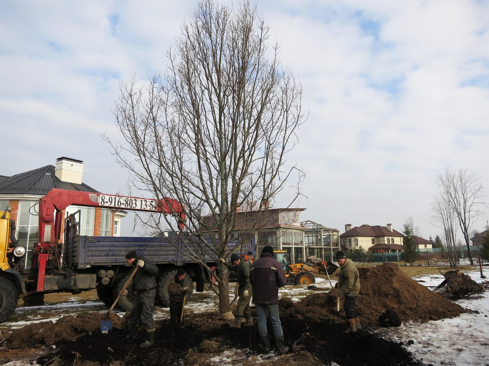 Посадка крупномеров