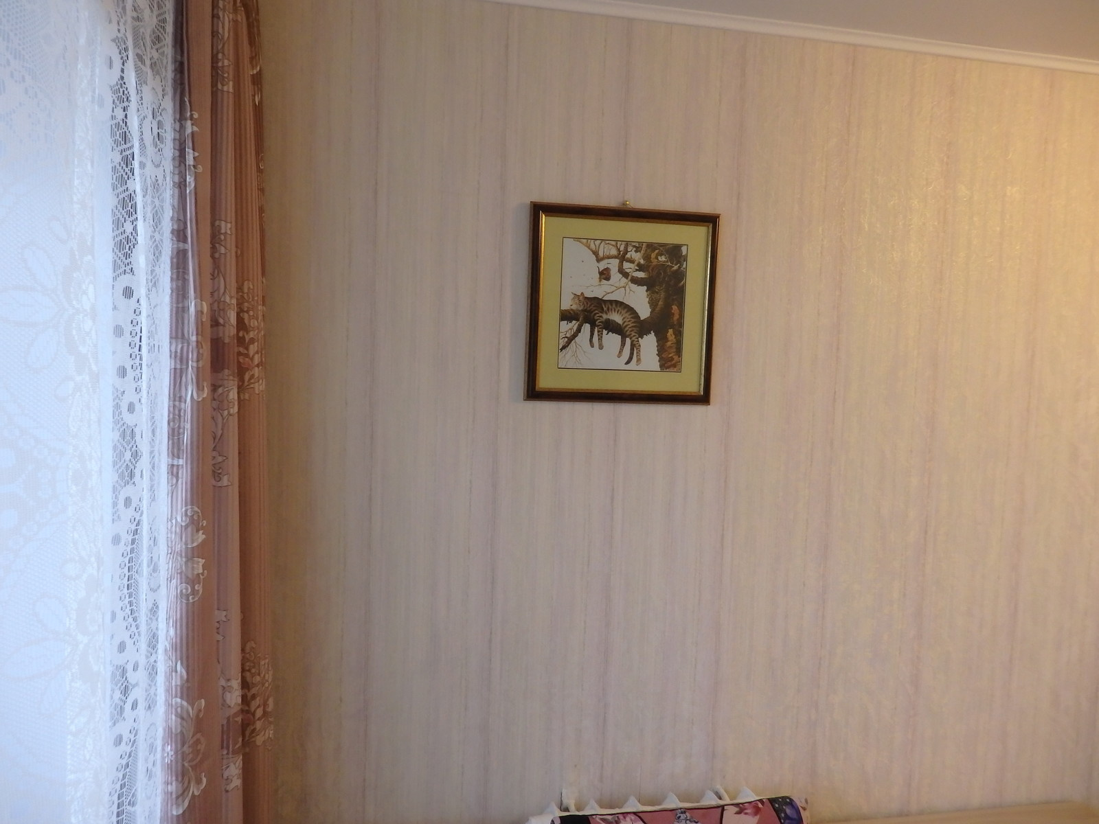 Квартира под сдачу в хрущевке.