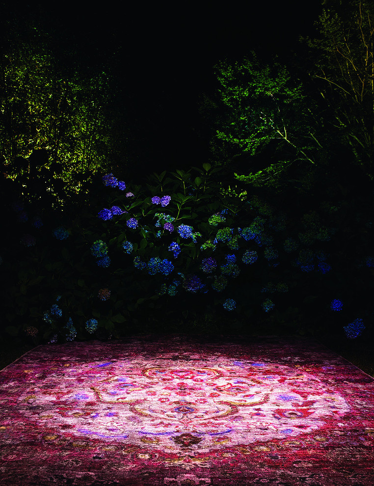 Съемки ковров