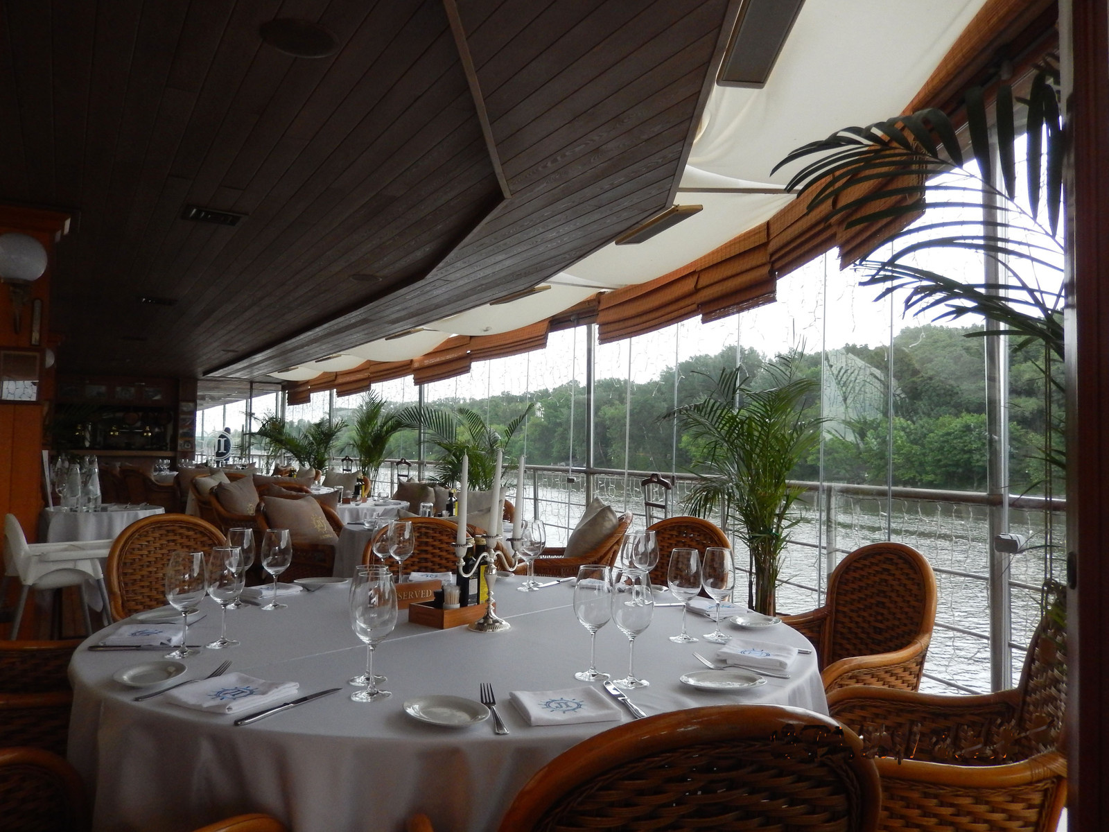 Обложка проекта: Ласточка