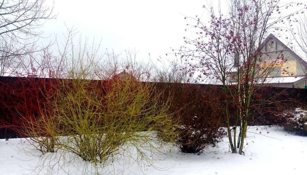 Зимний сад в Наро-Фоминске