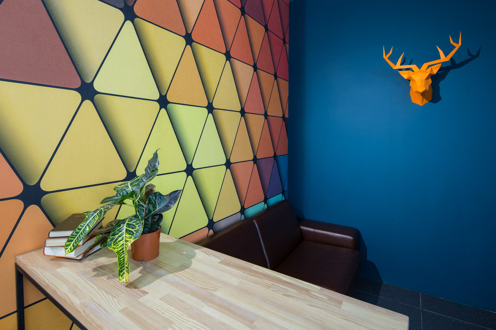 Обложка проекта: OrangeClub — Освещение магазина одежды