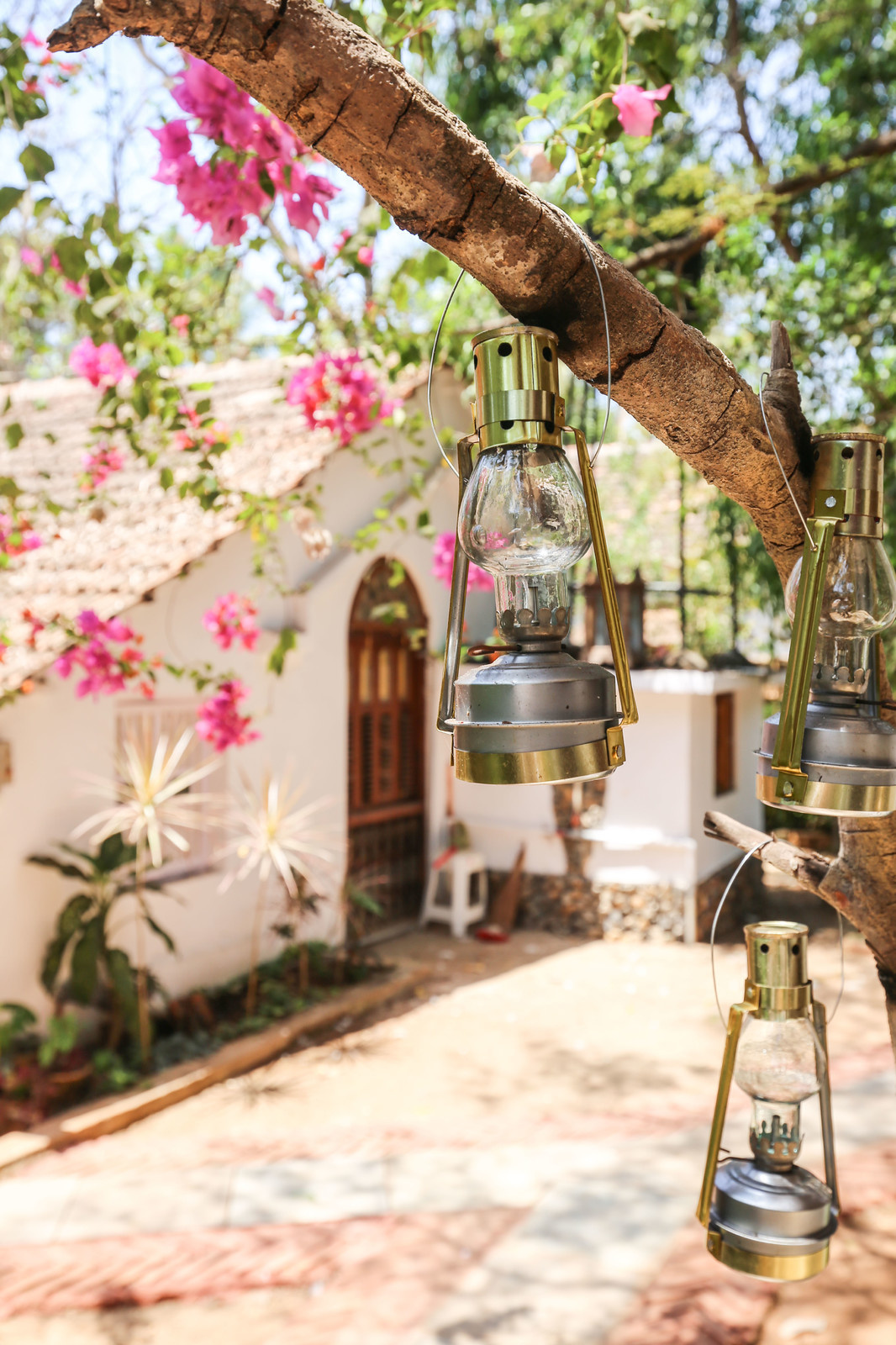 Роскошный дом на дереве в восточном стиле.