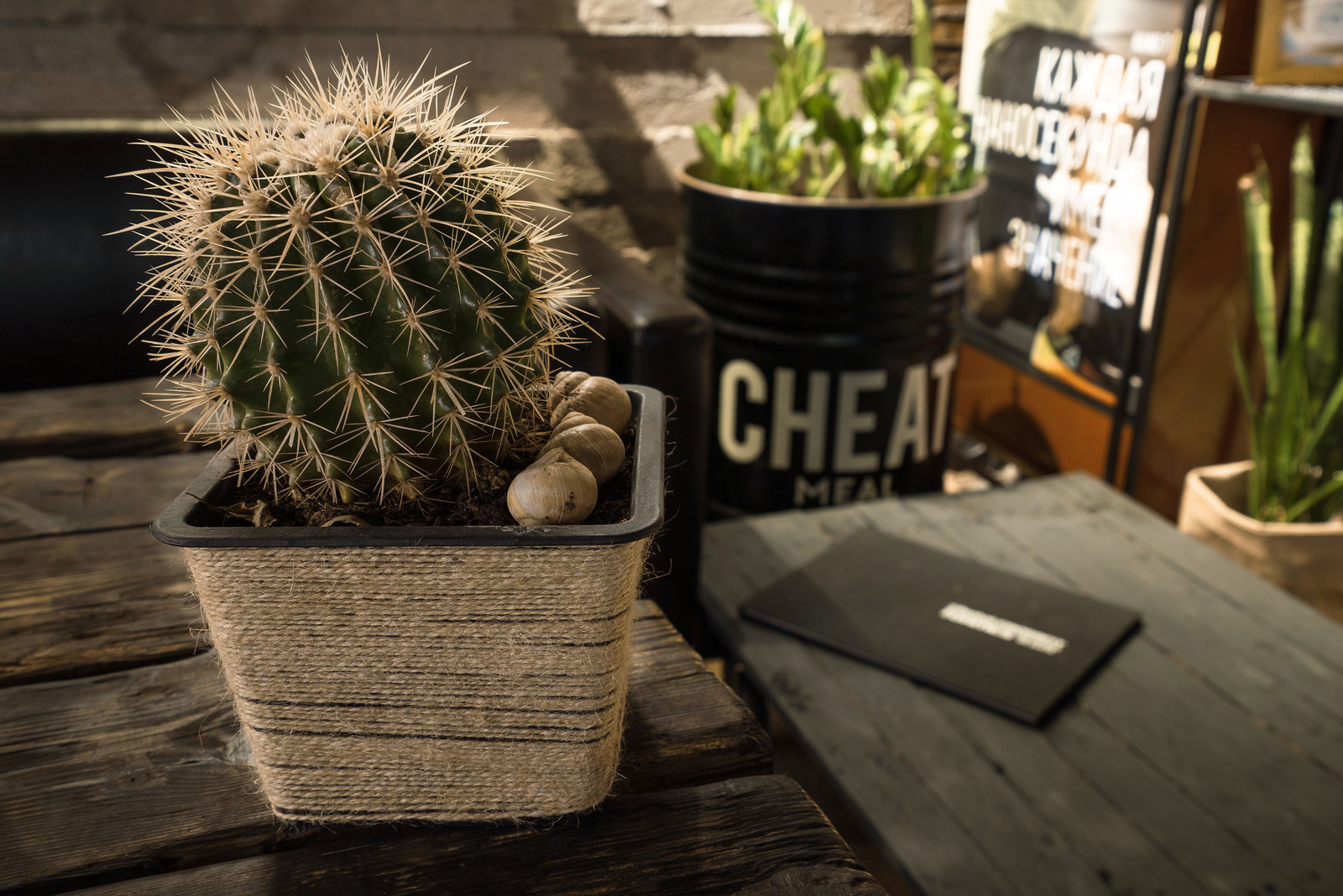 Кафе Cheat Meal (при Backstage Crossfit)