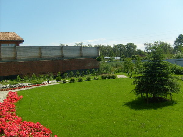 Устройство газона