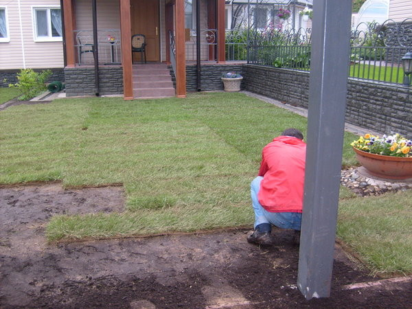 Устройство газона