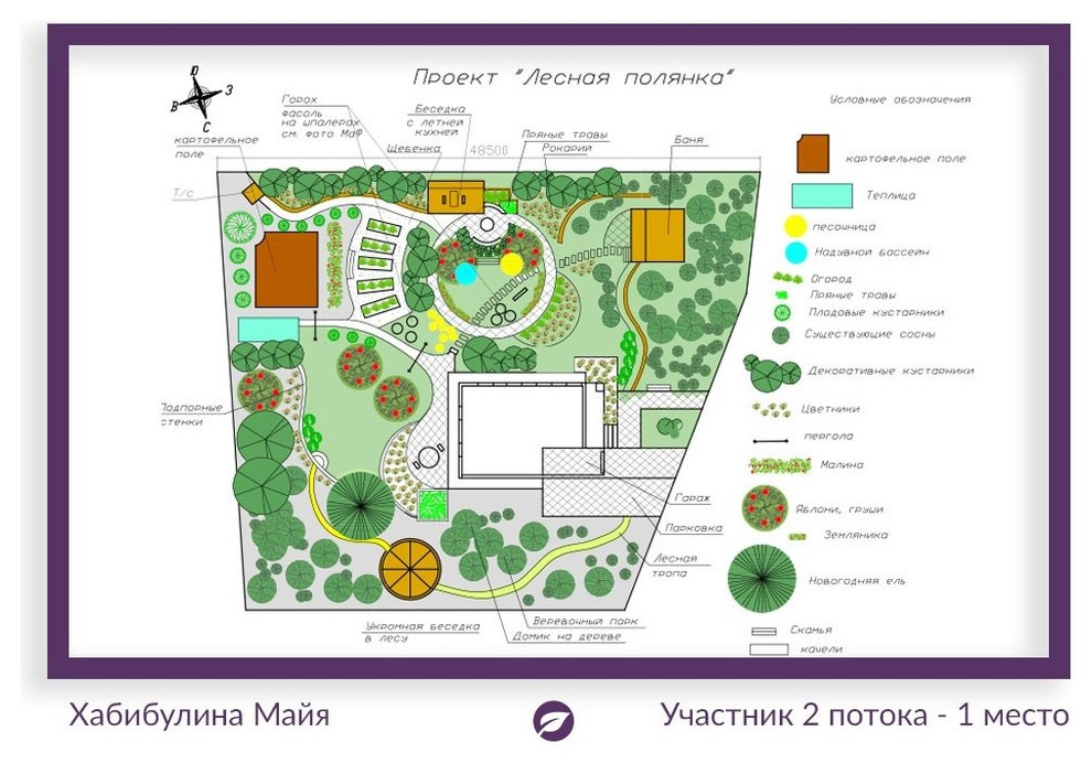 Лесная полянка