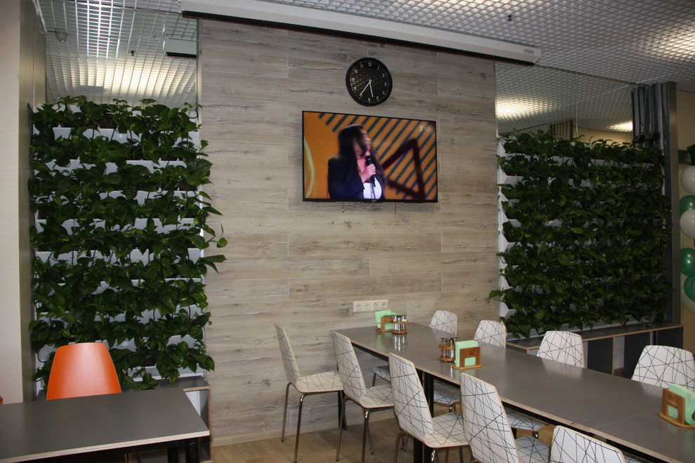 Зеленые стены с автополивом  требуют профессиональный уход