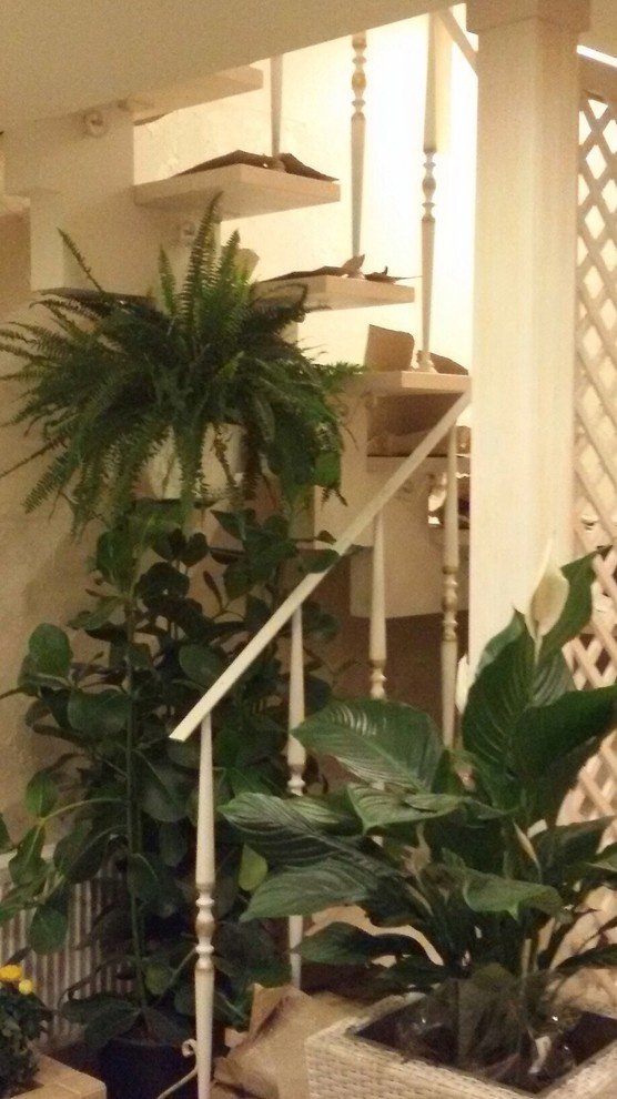 Зимний сад.