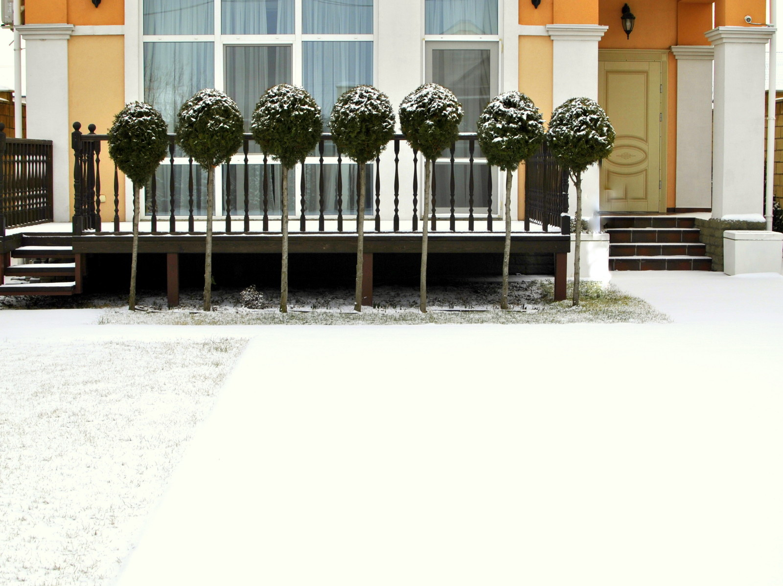 Сад молодой семьи