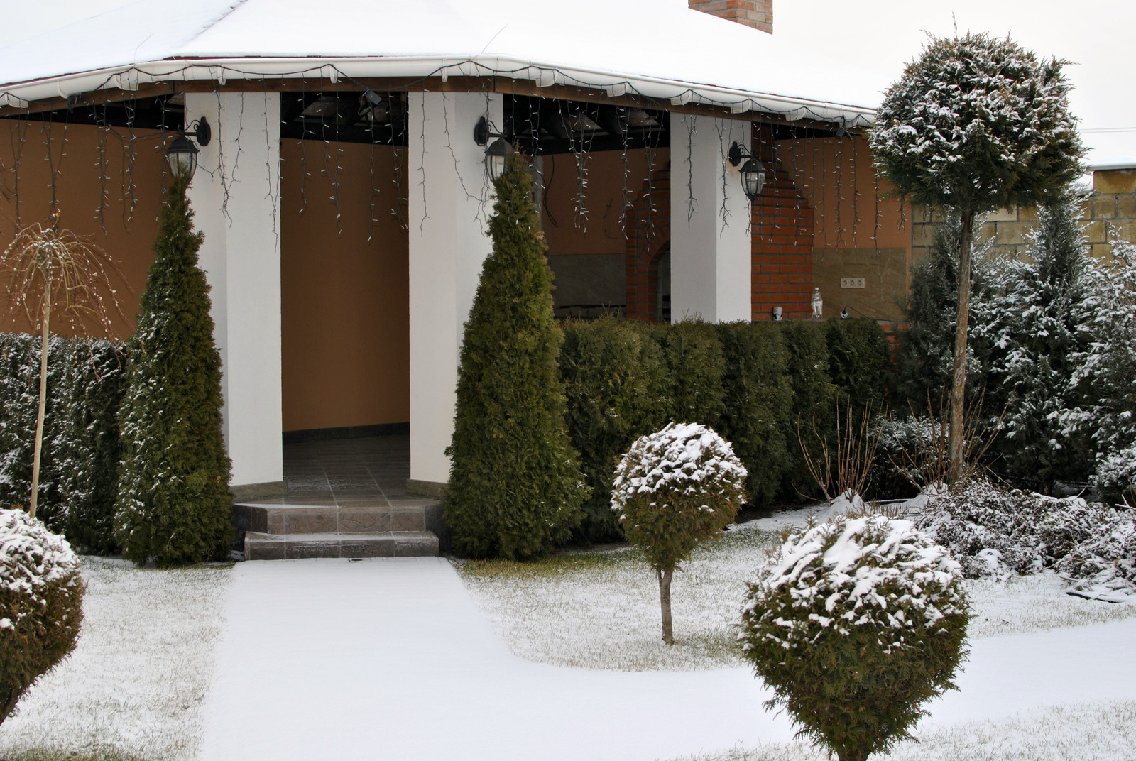 Сад молодой семьи