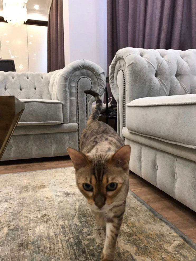 Фотографии с объектов