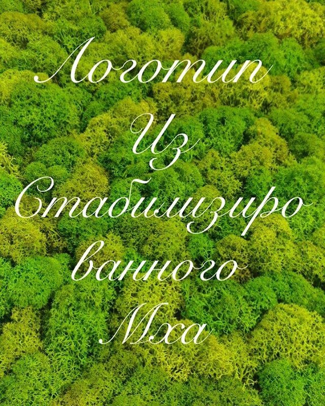 Логотип из мха
