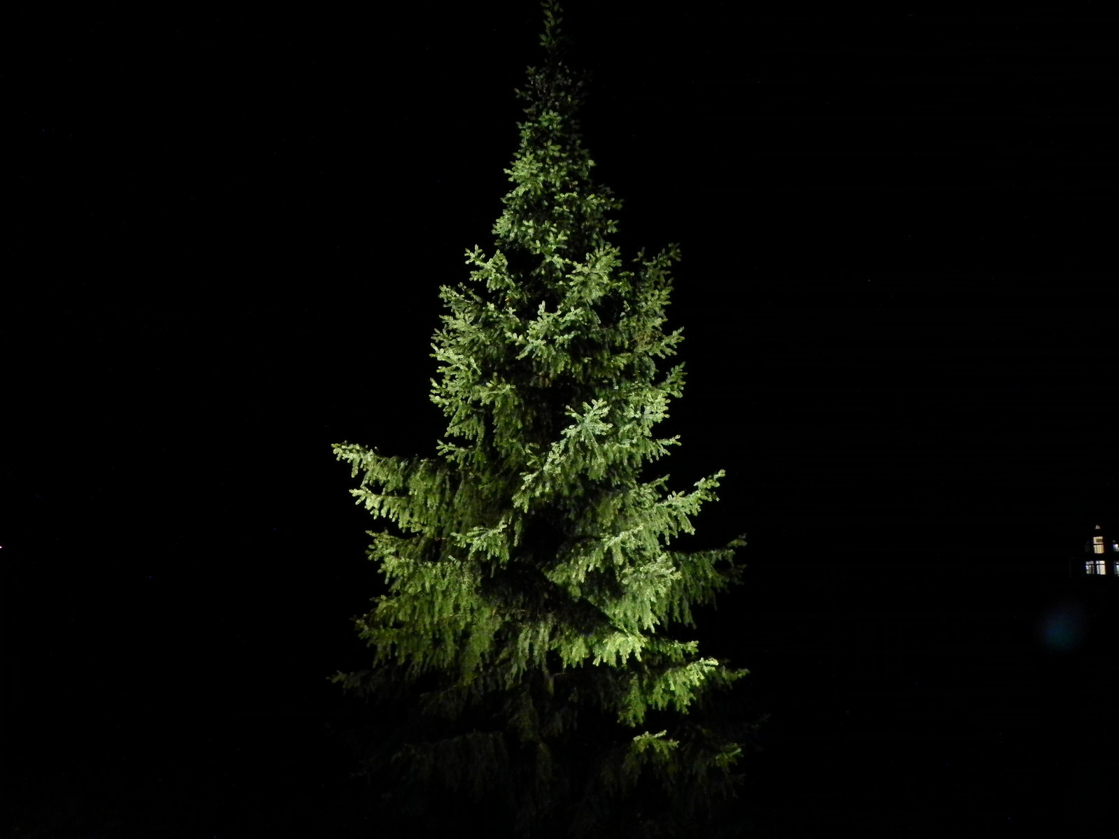 Загородный коттедж в Пушкинском районе, Ярославское шоссе