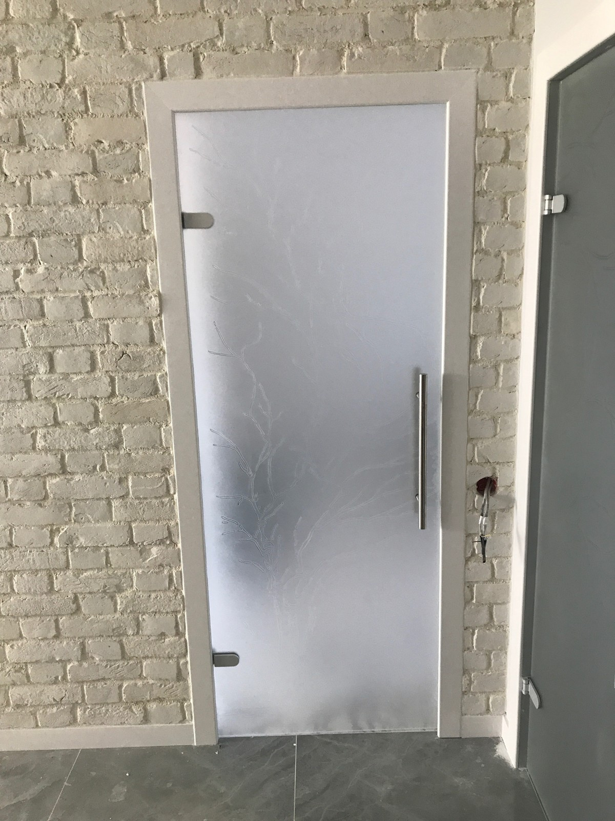 Стеклянные двери в частной квартире ЖК "Премьер Палас"