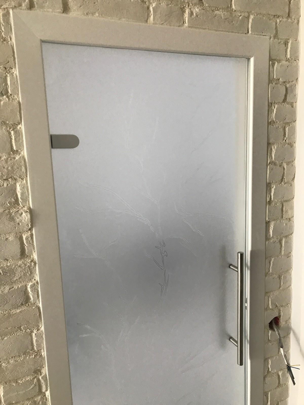 Стеклянные двери в частной квартире ЖК "Премьер Палас"