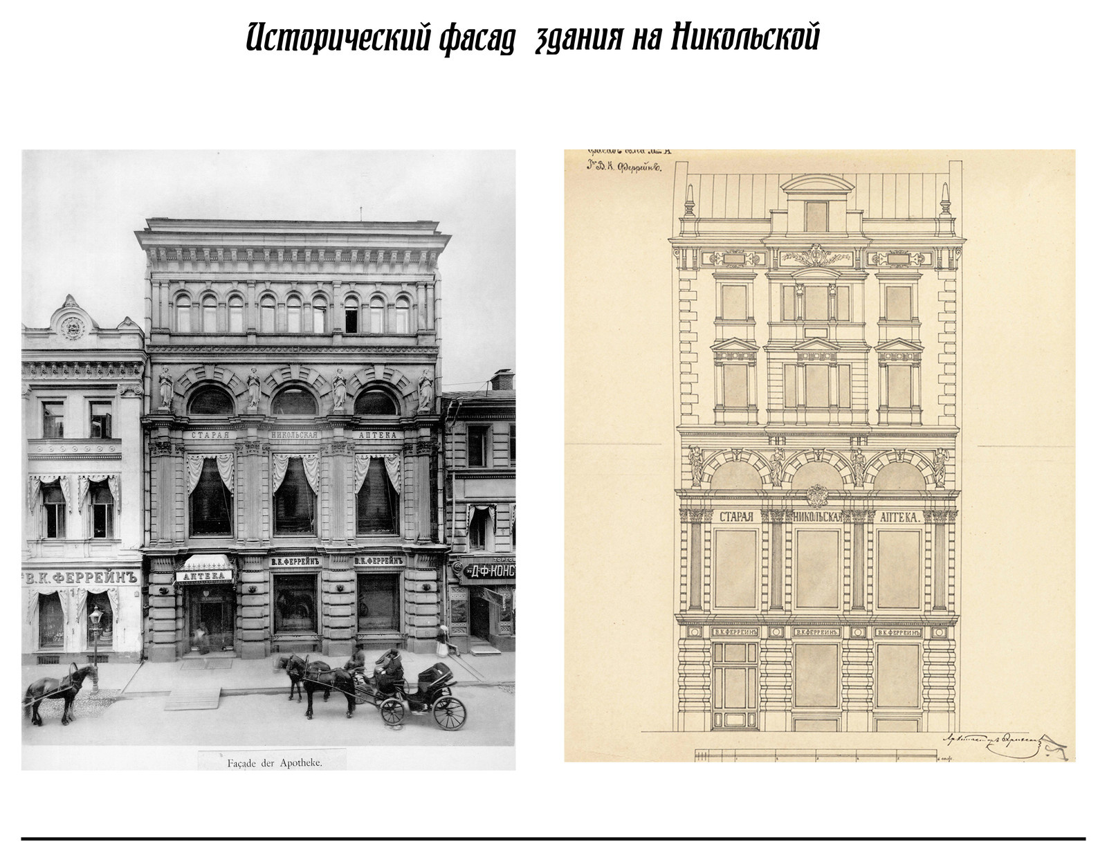 Витрина