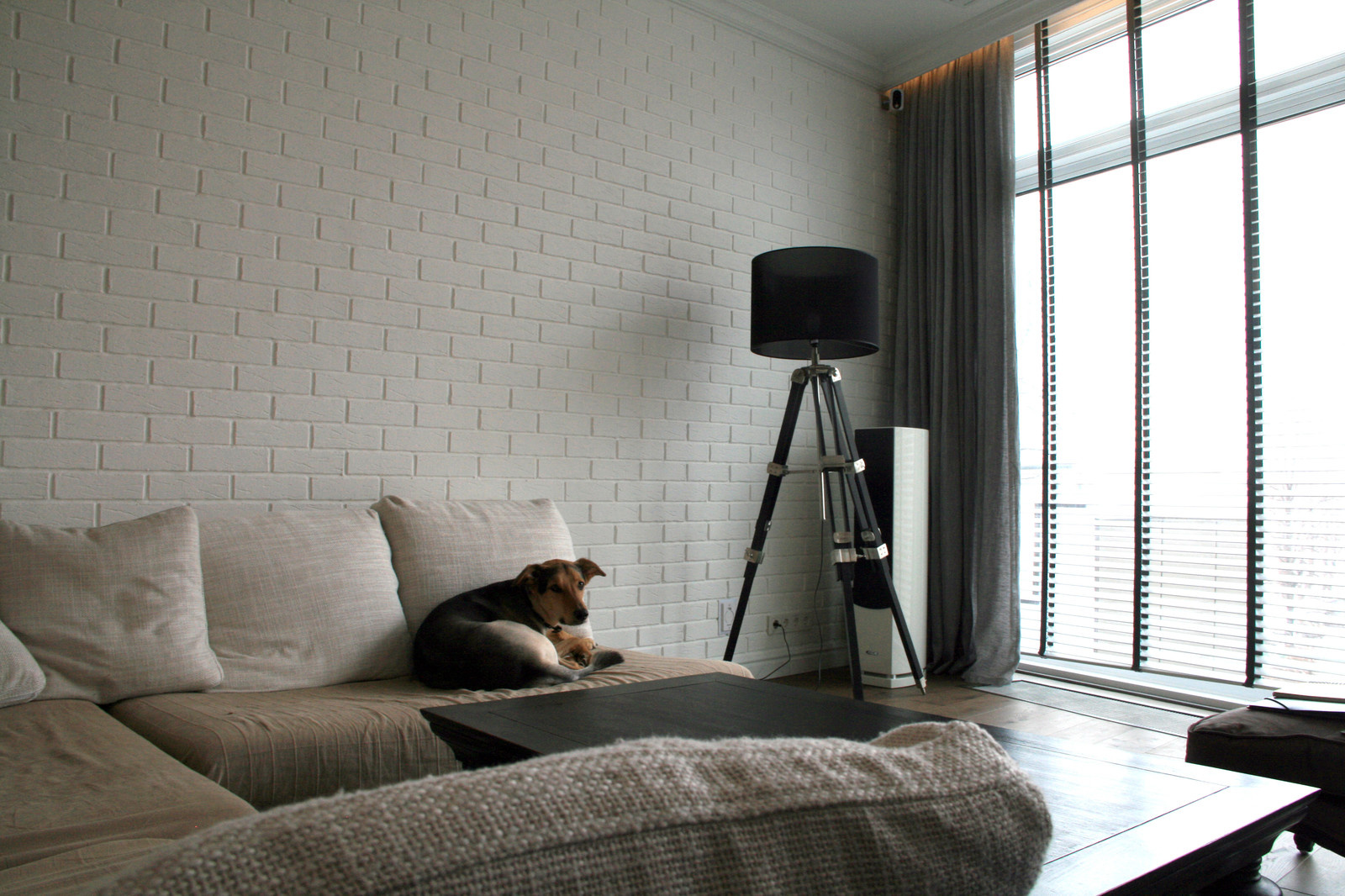 Обложка проекта: Творческий порядок