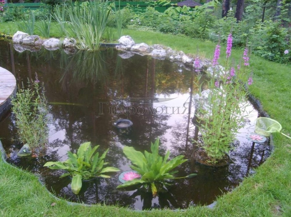 Декоративный водоём в п. Васкелово (ЛО)