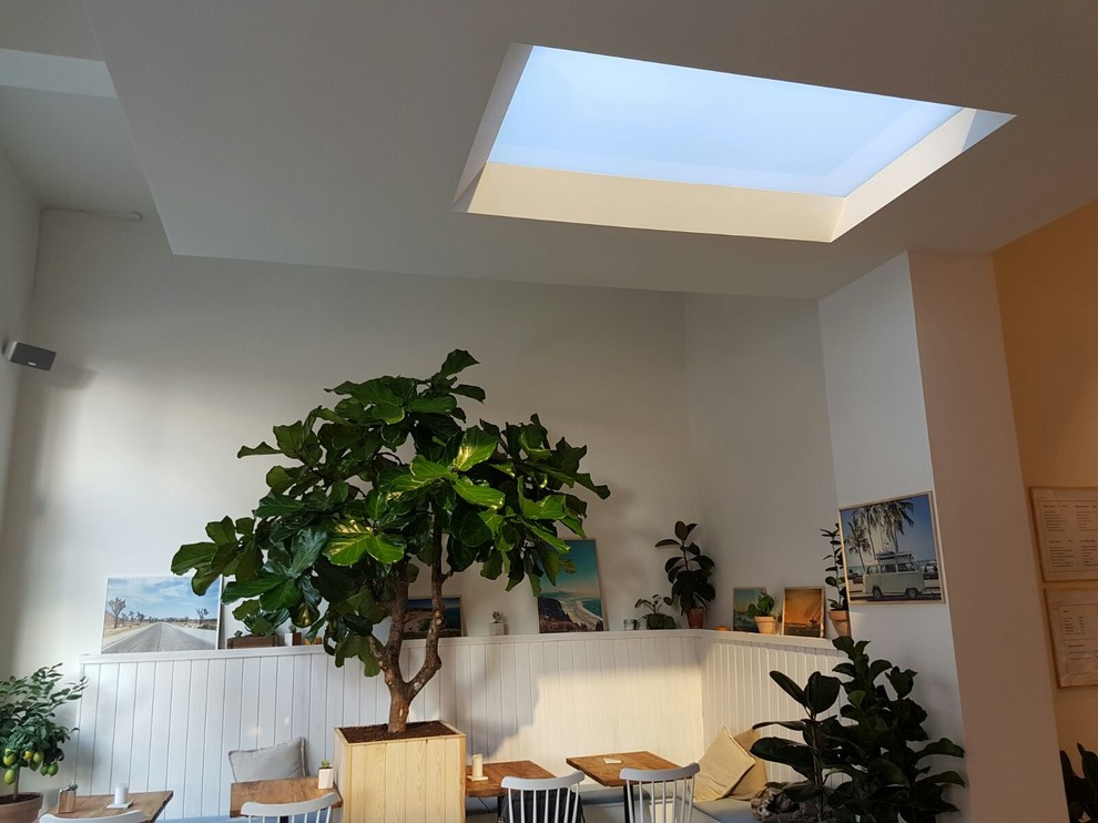Coelux дизайн в кафе