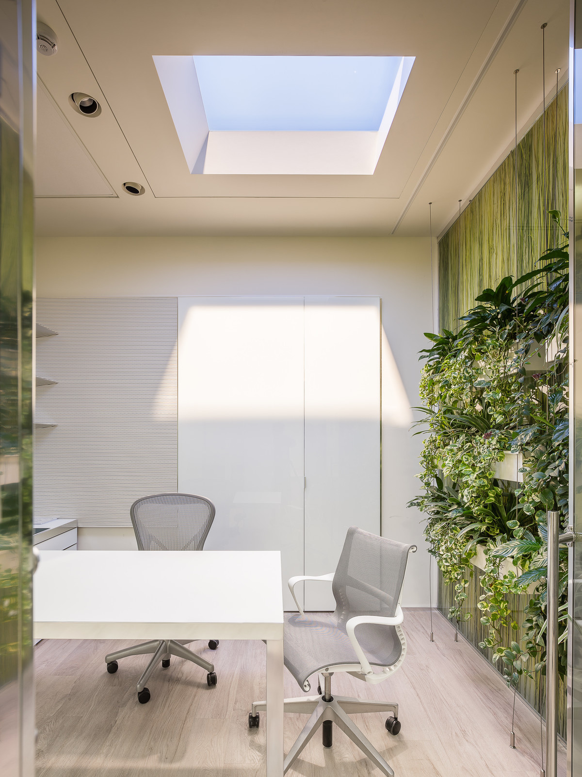 Coelux в офисном пространстве