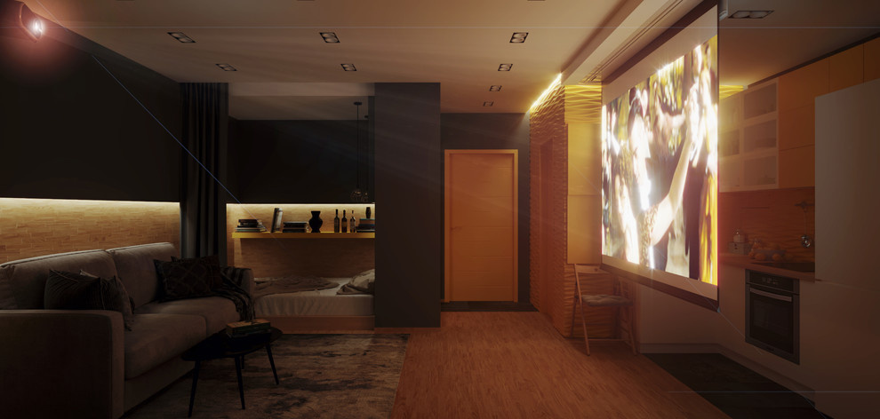 Однушка с кинотеатром