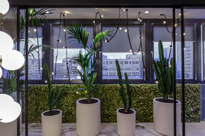 Фазенда_Новогоднее латино_М. Ватолина