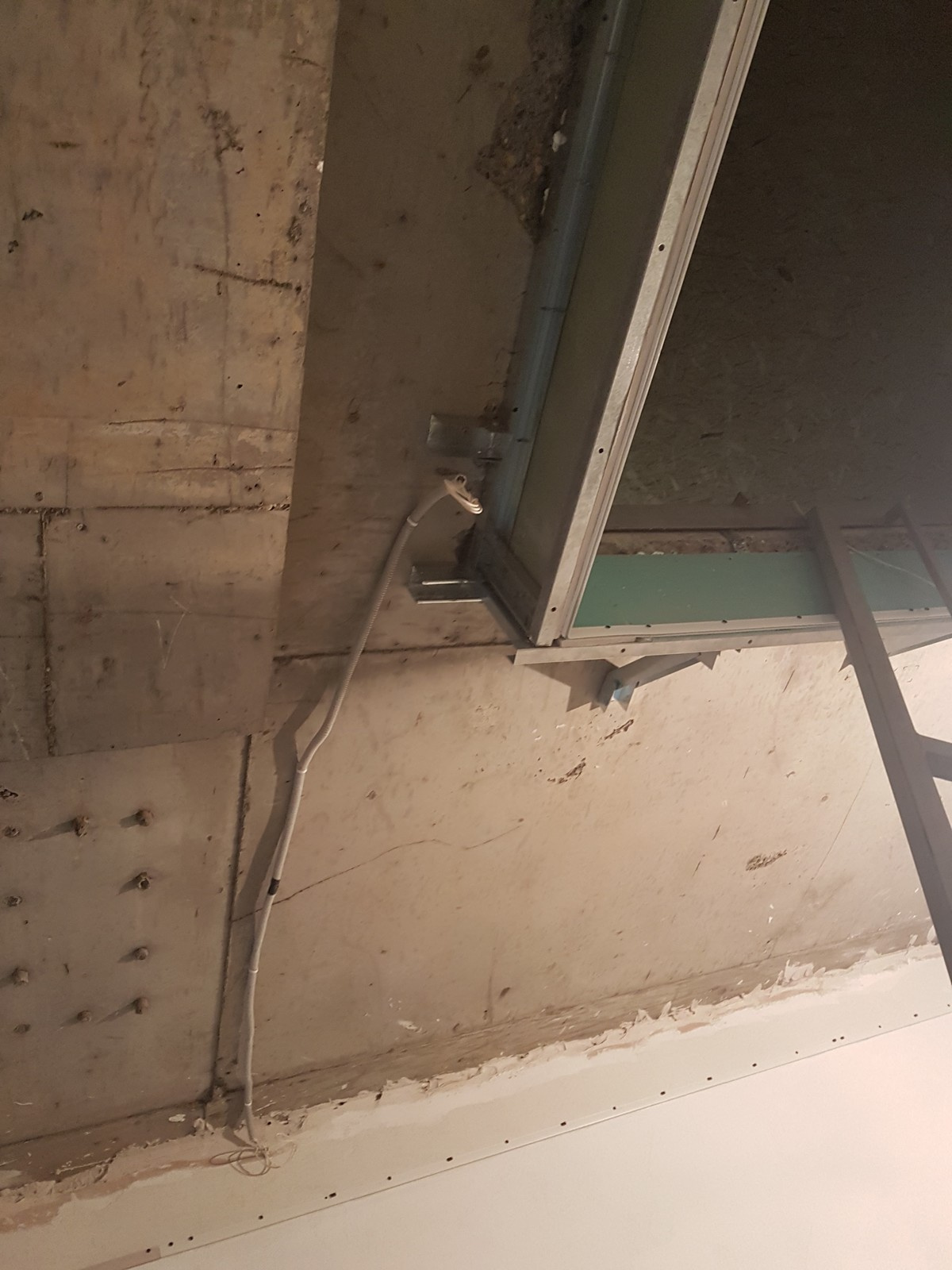 ООО "Радиан"