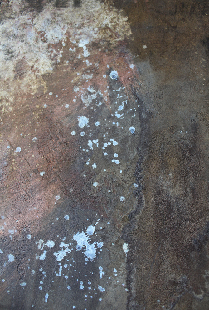 Дизайнерские покрытия