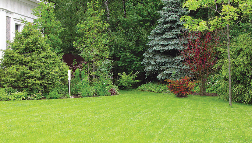 поселок Южный