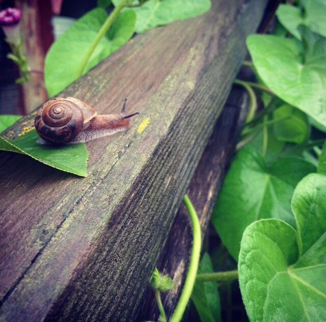 поселок Южный