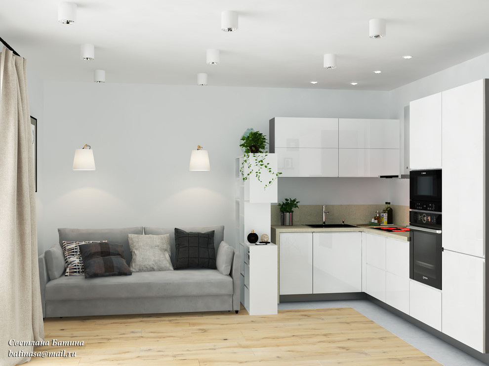 Студия в скандинавском стиле