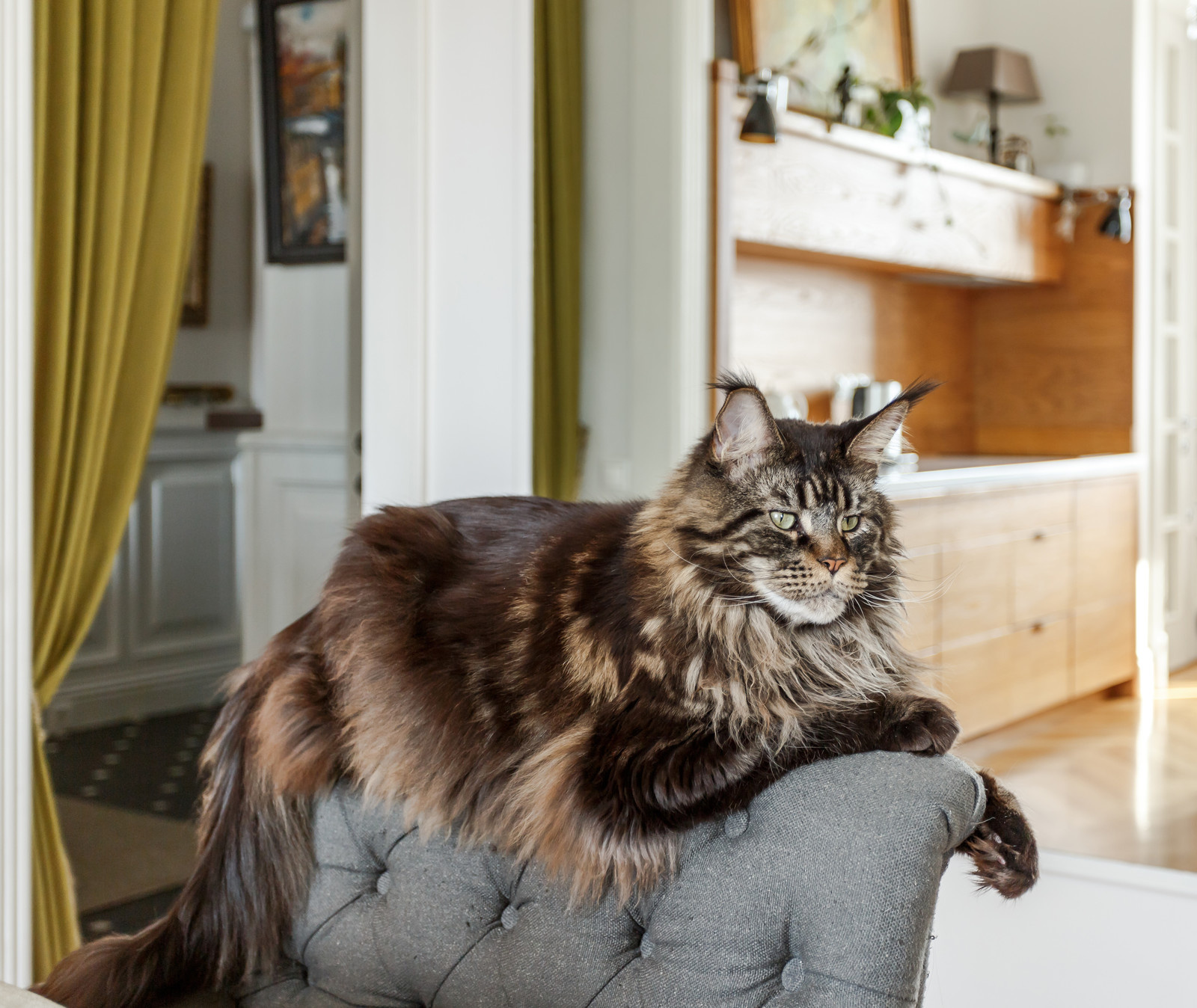 Котельническая набережная для Houzz