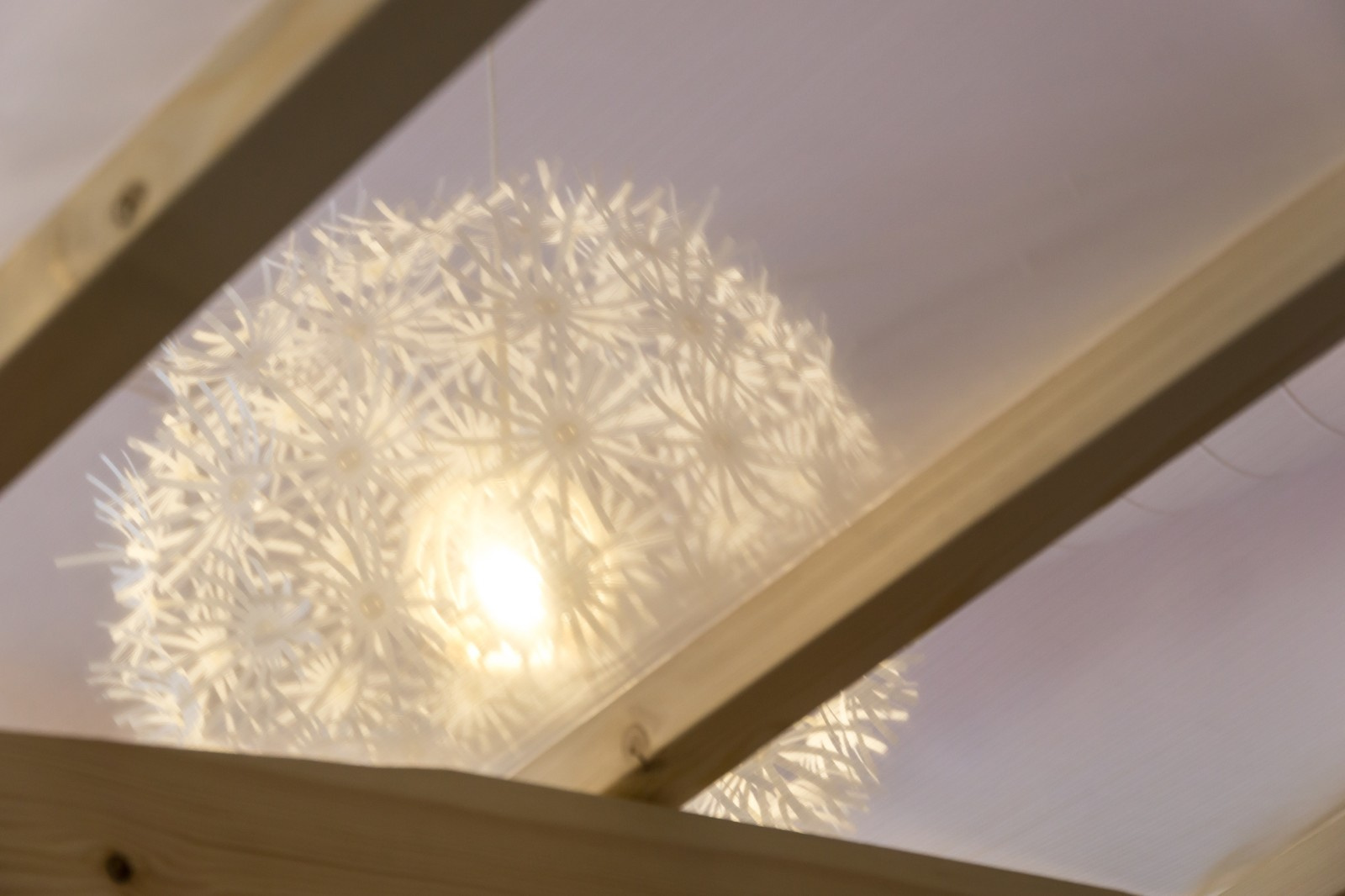 Сказочный лес