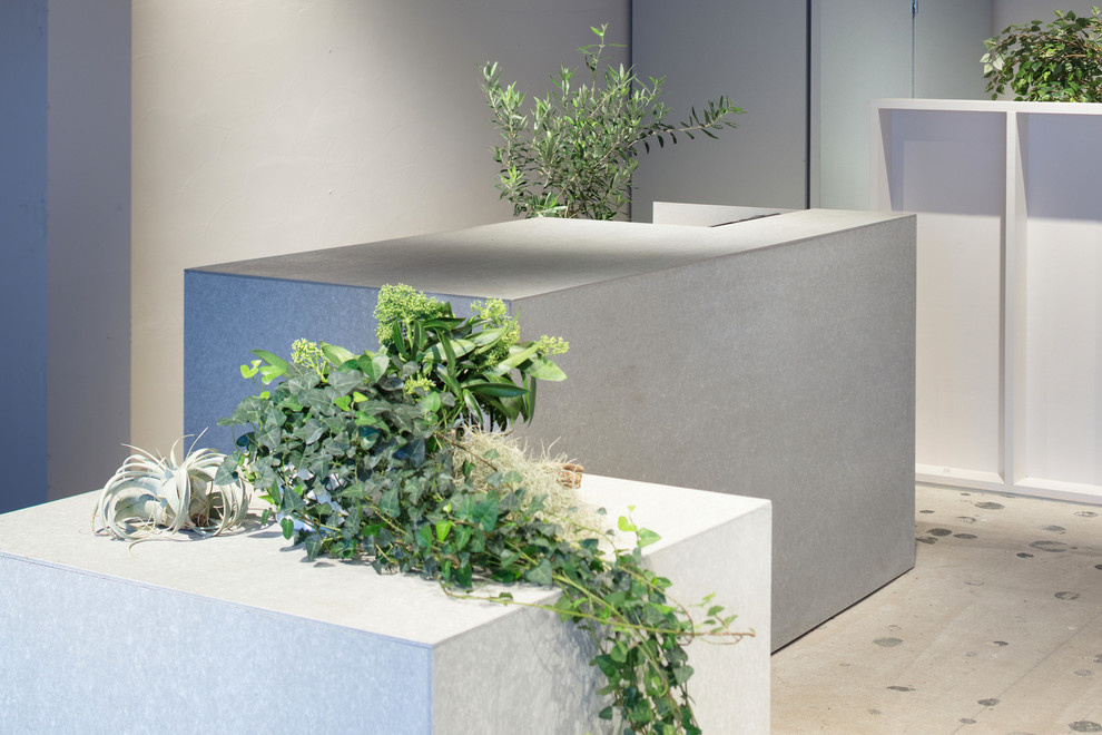 Декоративные бетонные полы в миниатюрном цветочном магазине