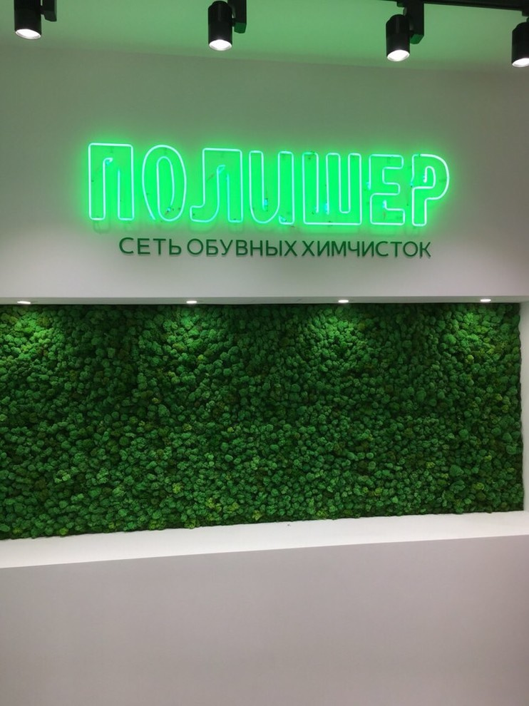 Обложка проекта: Фитокартина из стабилизированного мха ягель 1000х2500 для химчистки обуви