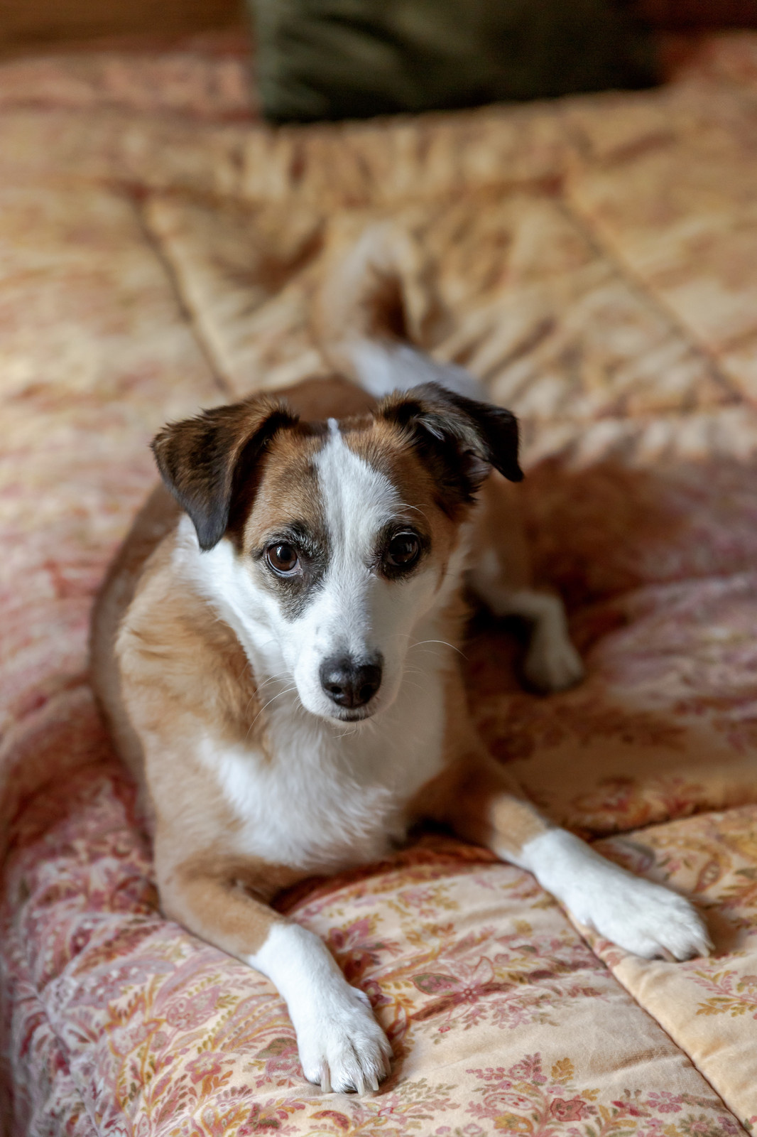 Propertylabart для Houzz