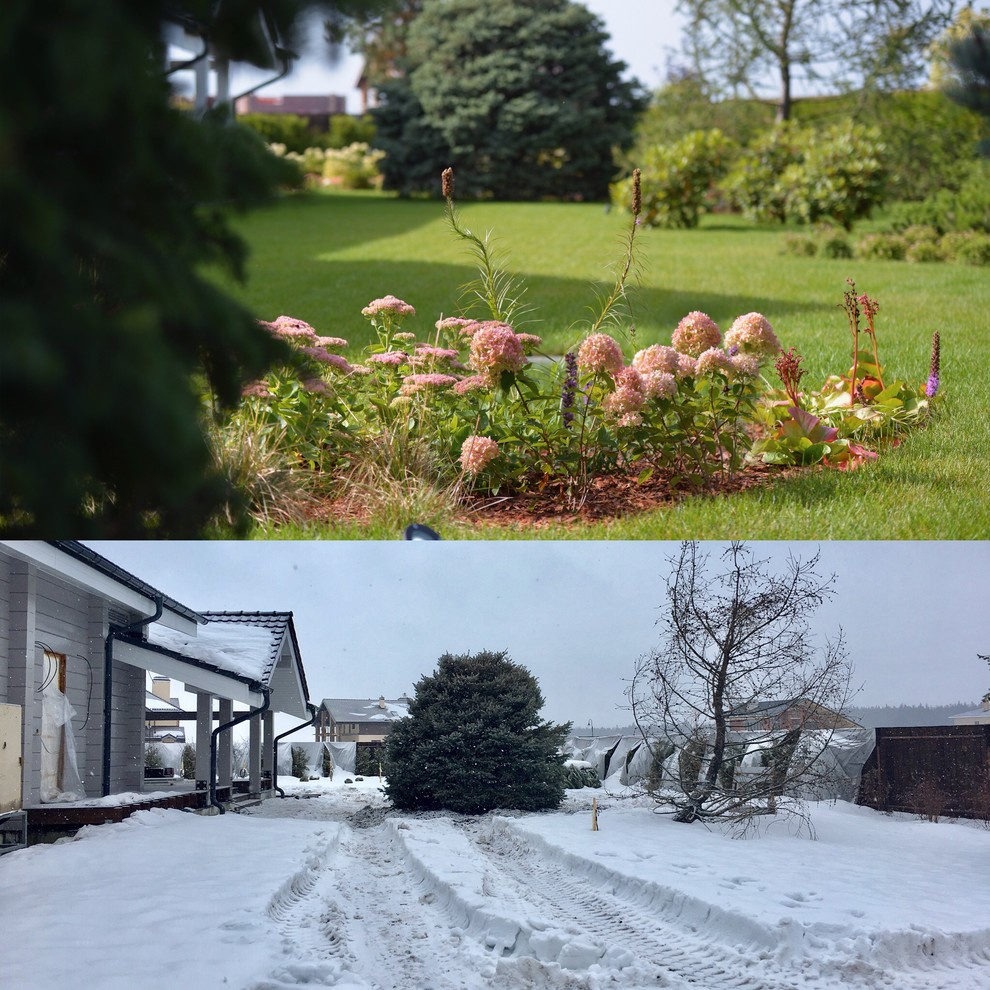 КП Снегири "Сад в пейзажном стиле" 50 соток