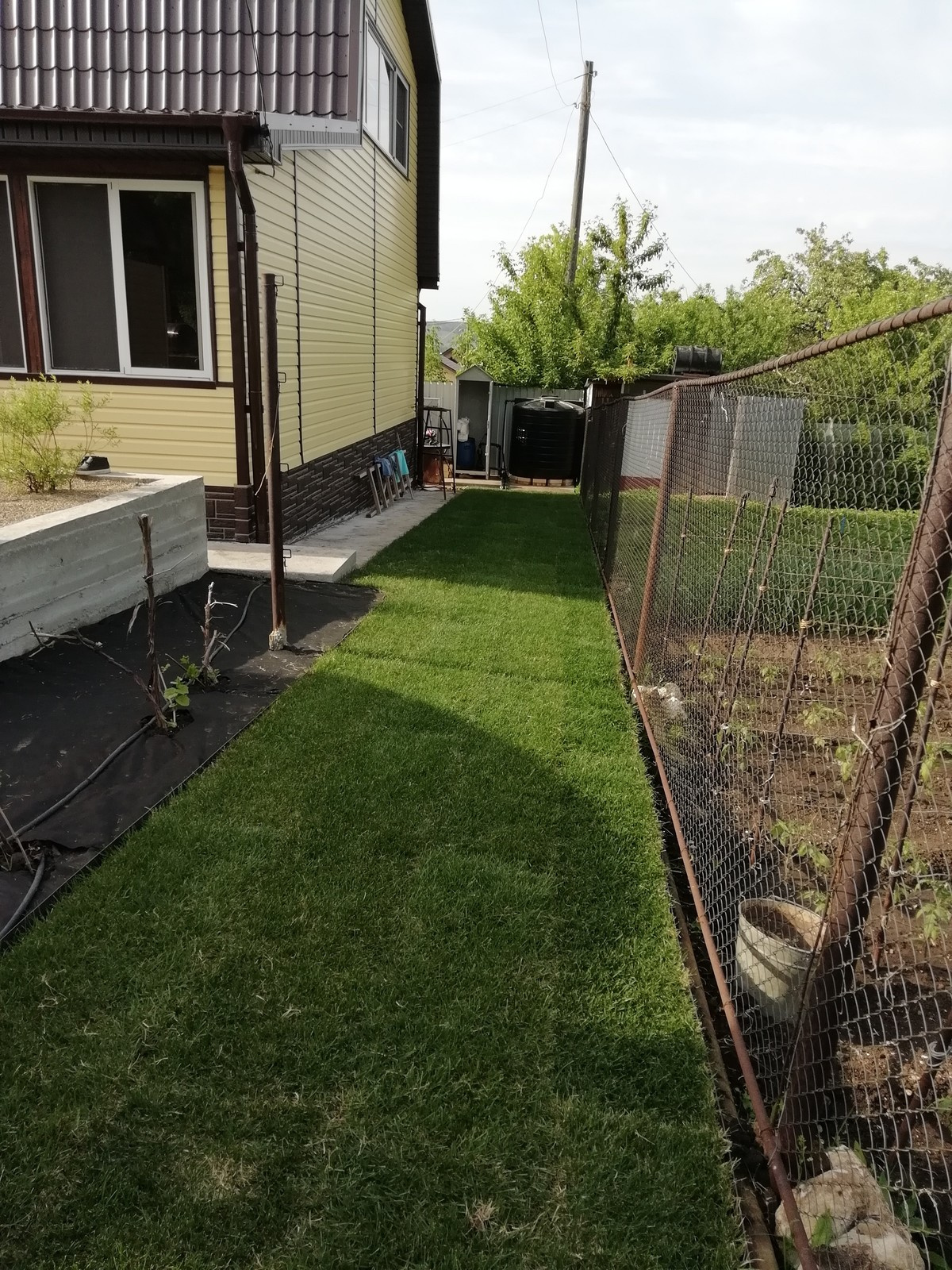 Ландшафтные работы, автополив, Самарская область, с. Зольное