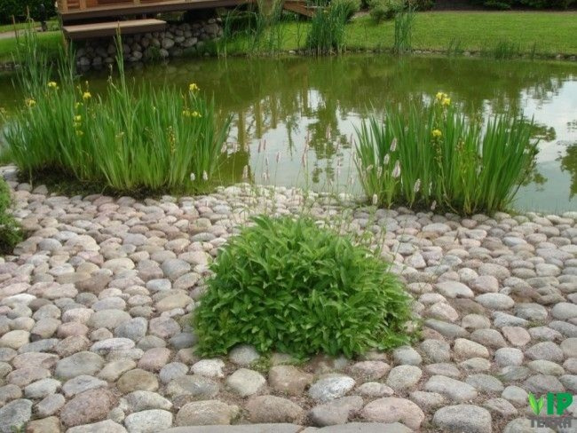 Примеры наших работ