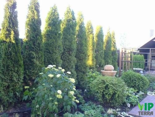 Примеры наших работ