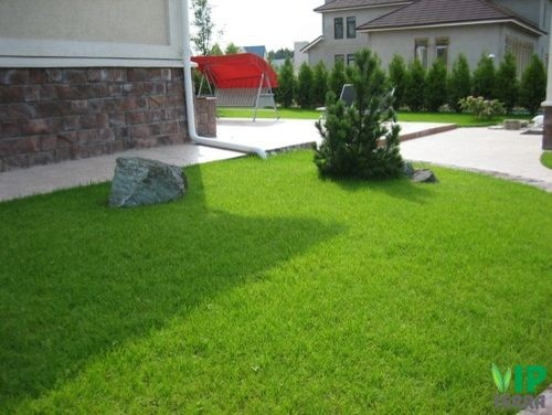 Примеры наших работ