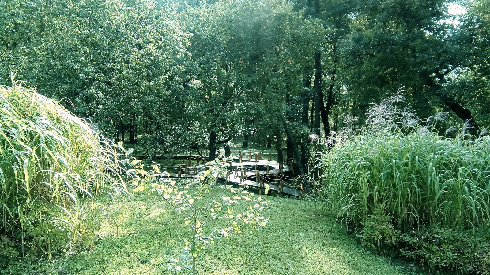 Valley of springs Долина родников